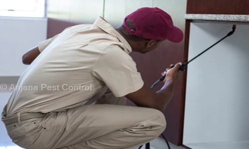 Anjana Pest Control - Pest Control in Valasaravakkam, Chennai