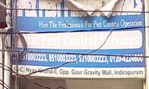 Apex Pest Professionals - Pest Control in Sector 27, Noida