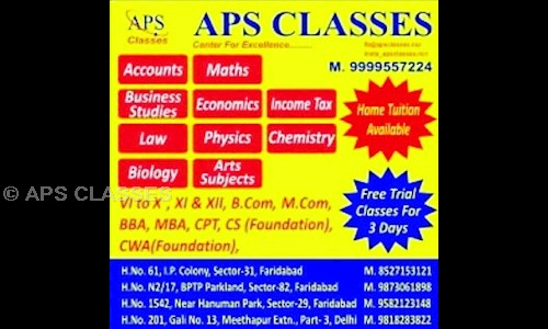 APS CLASSES - Finance & Accounting tuitions in Ashok Enclave, Faridabad