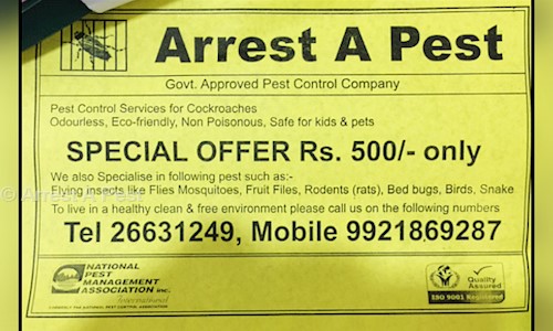 Arrest A Pest - Pest Control in Viman Nagar, Pune