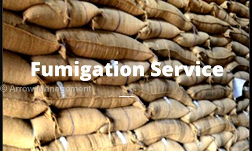 Arrow Management - Pest Control in Jamalpur, Ahmedabad