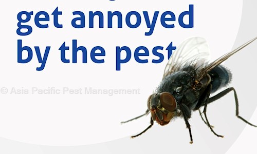 Asia Pacific Pest Management - Pest Control in MU II, Greater Noida