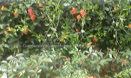 Azhagu Gardeniing Landscape Designers - Pest Control in Tatabad, Coimbatore