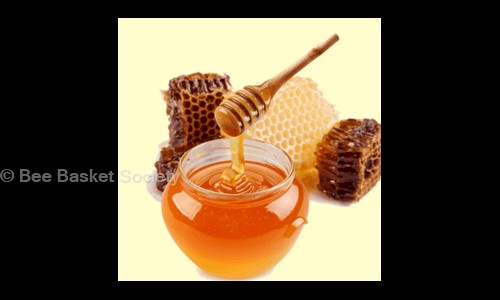 Bee Basket Enterprises  Pvt. Ltd. - Pest Control in Warje, Pune