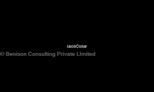 Benison Consulting Private Limited - Placement Consultancies in Vishnu Garden, Delhi