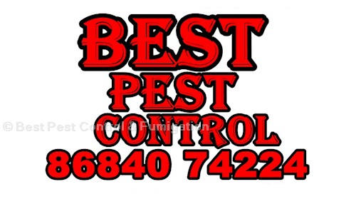 Best Pest Control & Fumigation - Pest Control in Panipat City, Panipat