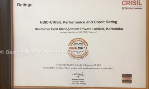 Bestserve pest management pvt ltd - Pest Control in Begur, Bangalore