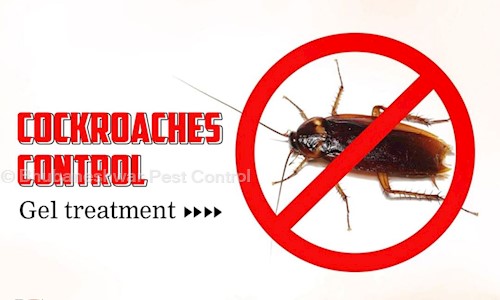 Bhubaneshwar Pest Control - Pest Control in Jayadev Vihar, Bhubaneswar