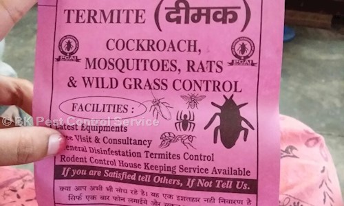 BK Pest Control Service - Pest Control in Hallo Majra, Chandigarh