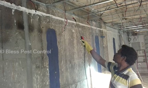 Bless Pest Control - Pest Control in Trichy Madras Main Road, Trichy