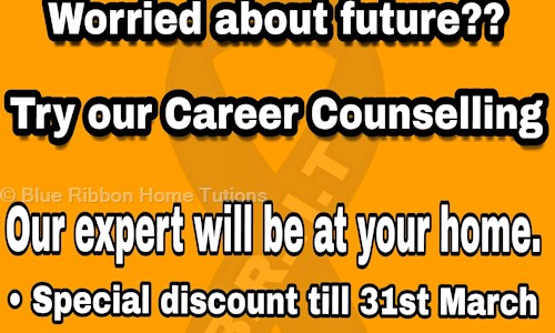 Blue Ribbon Home Tutions - Finance & Accounting tuitions in Sector 15D, Chandigarh