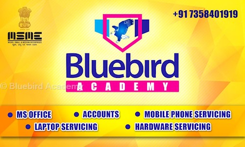 Bluebird Academy - Job Training in Nungambakkam, Chennai