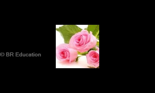 BR Education - Finance & Accounting tuitions in Parappana Agrahara, Bangalore