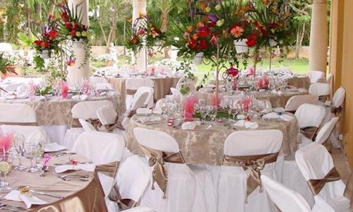 Cafe Purani Dilli - Catering Services in Punjabi Bagh, Delhi