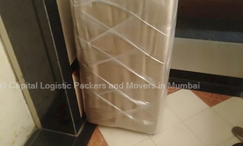 Capital Logistic Packers and Movers in Mumbai - Packers and Movers in Shivaji Nagar, Mumbai