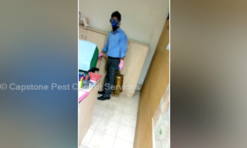 Capstone Pest Control Services - Pest Control in Hari Nagar Ashram, Delhi