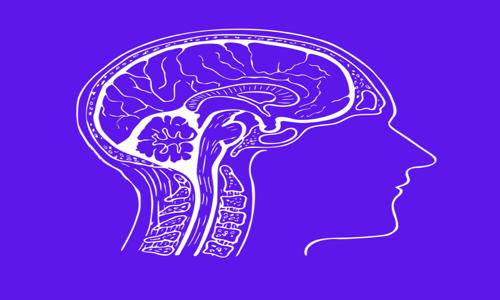 Cerebrum Biology Academy (SE II) - School Tuitions in South Extension Part II, Delhi
