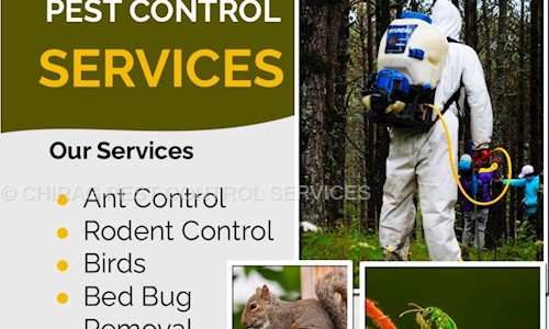 CHIRAG PEST CONTROL SERVICES - Pest Control in Vijay Nagar, Indore