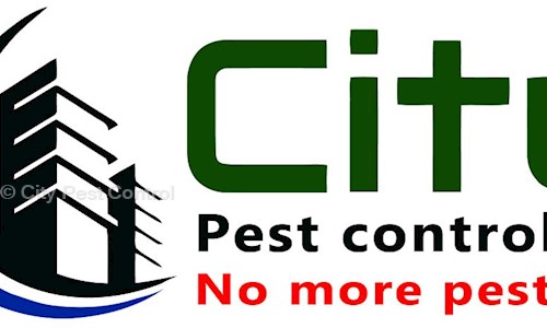 City Pest Control - Pest Control in Jamia Nagar, Delhi
