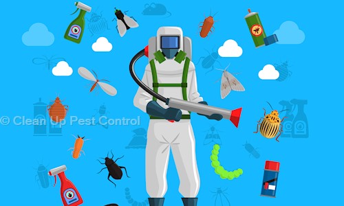 Clean Up Pest Control - Pest Control in Ambegaon Budruk, Pune