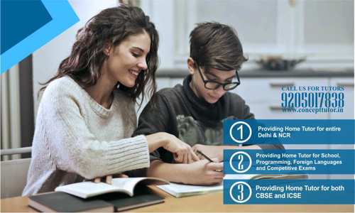 CONCEPT TUTOR - School Tuitions in Pandav Nagar, Delhi