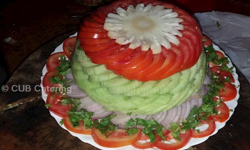 CUB Catering - Catering Services in Thakurpukur, kolkata