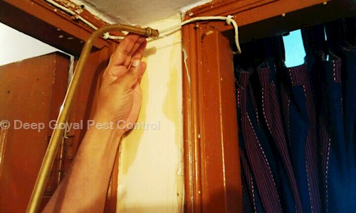 Deep Goyal Pest Control - Pest Control in Dilshad Garden, Delhi