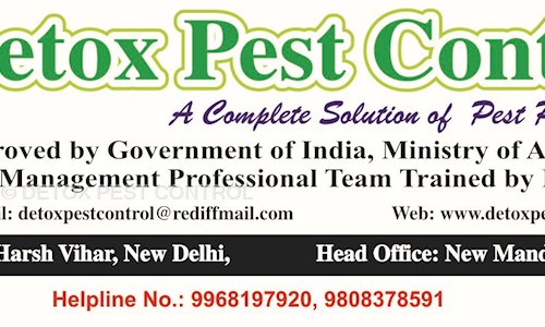 DETOX PEST CONTROL - Pest Control in Brahmpuri, Meerut