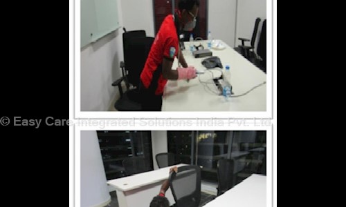 Easy Care Integrated Solutions India Pvt. Ltd. - Pest Control in Wazirpur, Delhi