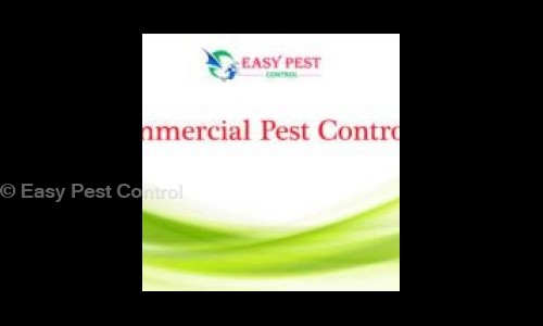 Easy Pest Control - Pest Control in Adambakkam, Chennai