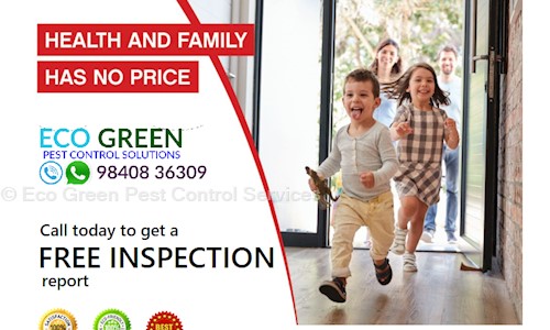 Eco Green Pest Control Services - Pest Control in Pallikaranai, Chennai