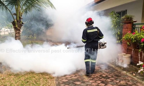 Effective universal pest control Pvt. Ltd . - Pest Control in Lingampally, Hyderabad