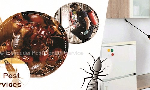 Elshaddai Pest Control Services - Pest Control in Ajwa Road, Vadodara