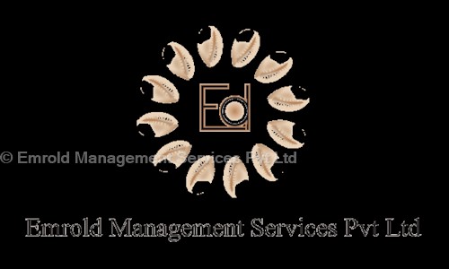 Emrold Management Services Private Limited - Placement Consultancies in Park Road, Lucknow