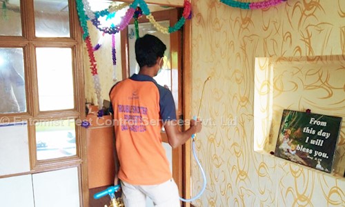 Entomist Pest Control Services Pvt. Ltd. - Pest Control in Adambakkam, Chennai
