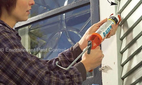 Environment Pest Control - Pest Control in South Extension I, Delhi