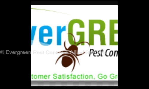 Evergreen Pest Control & Allied Services - Pest Control in Sunkadakatte, Bangalore