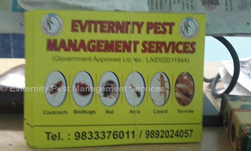 Eviternity Pest Management Services - Pest Control in Nerul, Mumbai