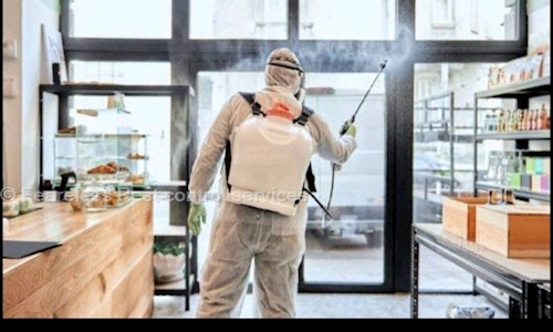 Feareless Pest control services - Pest Control in Paschim Vihar, Delhi