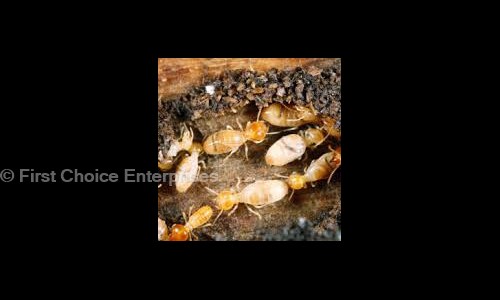First Choice Enterprises - Pest Control in Marathahalli, Bangalore