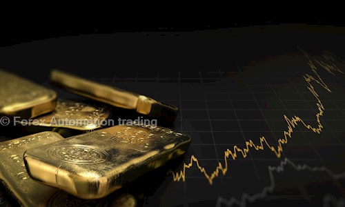 Forex Automation trading. - Job Training in Sreekaryam, Trivandrum