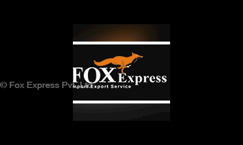 Fox Express Pvt. Ltd. - Packers and Movers in NIT, Faridabad
