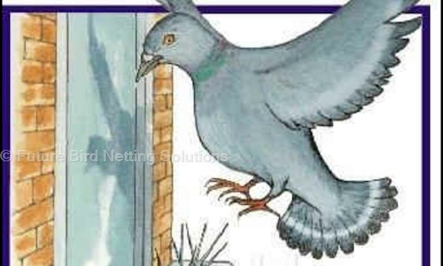 Future Bird Netting Solutions - Pest Control in Vijay Nagar, Jaipur