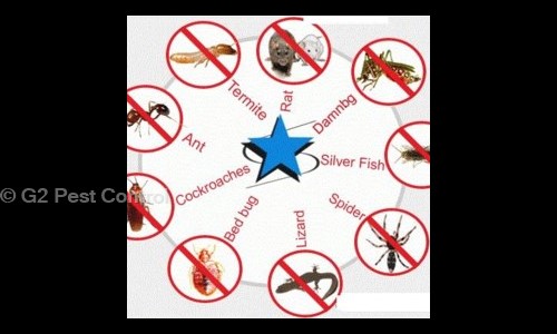 G2 Pest Control - Pest Control in Kovilambakkam, Chennai