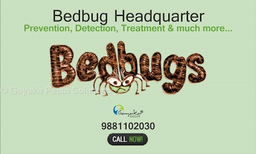 Gayaka Pesto Solutions - Pest Control in Sadashiv Peth, Pune