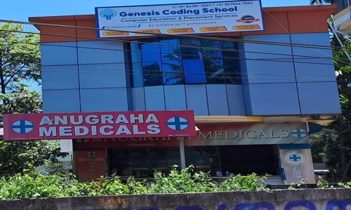 Genesis Academy - School Tuitions in Kulathoor, Trivandrum