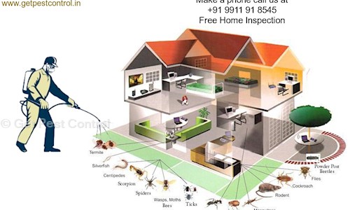 Get Pest Control - Pest Control in Mayur Vihar Phase 1, Delhi