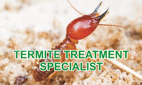 Global India Services - Pest Control in IMT Manesar, Gurgaon