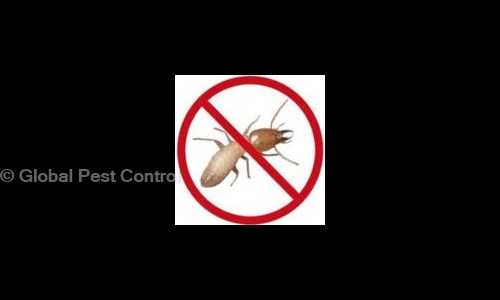 Global Pest Control - Pest Control in Mirajgave Nagari, Aurangabad