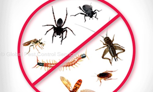Global Pest Control Service - Pest Control in Keezharur, Trivandrum